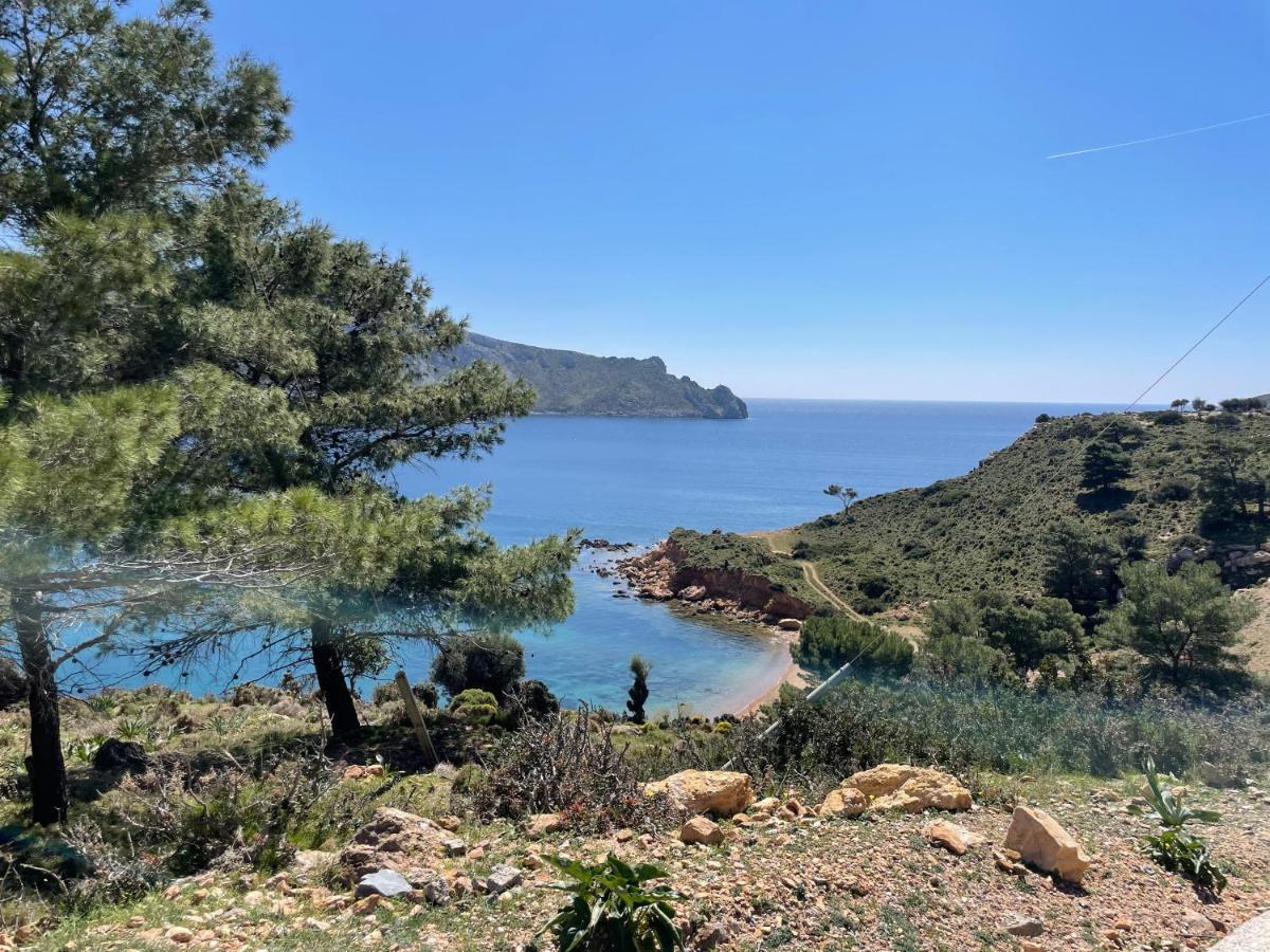 The Velanidies - Οι Βελανιδιές Agia Marina  Buitenkant foto