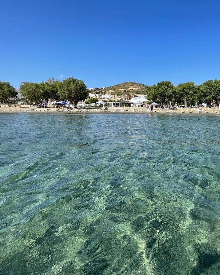 The Velanidies - Οι Βελανιδιές Agia Marina  Buitenkant foto
