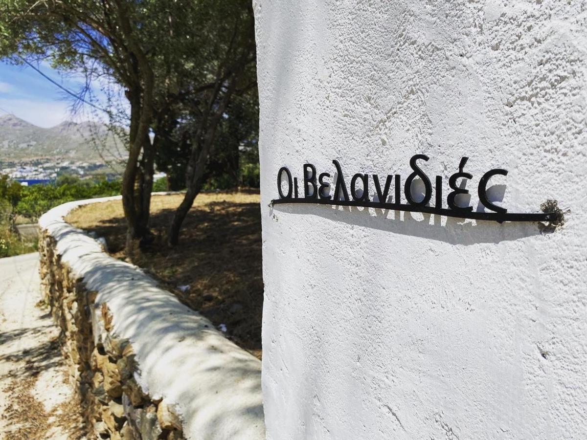 The Velanidies - Οι Βελανιδιές Agia Marina  Buitenkant foto