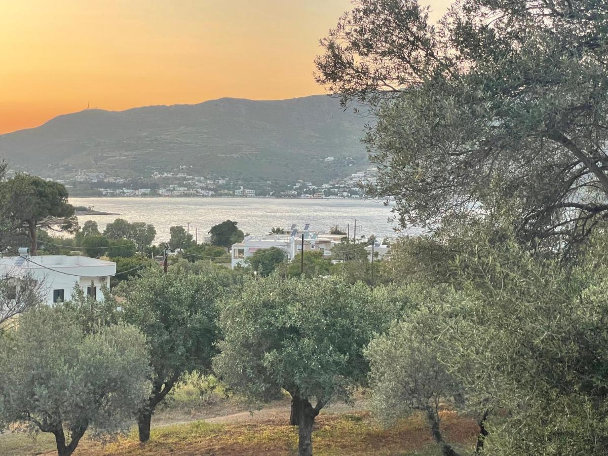 The Velanidies - Οι Βελανιδιές Agia Marina  Buitenkant foto