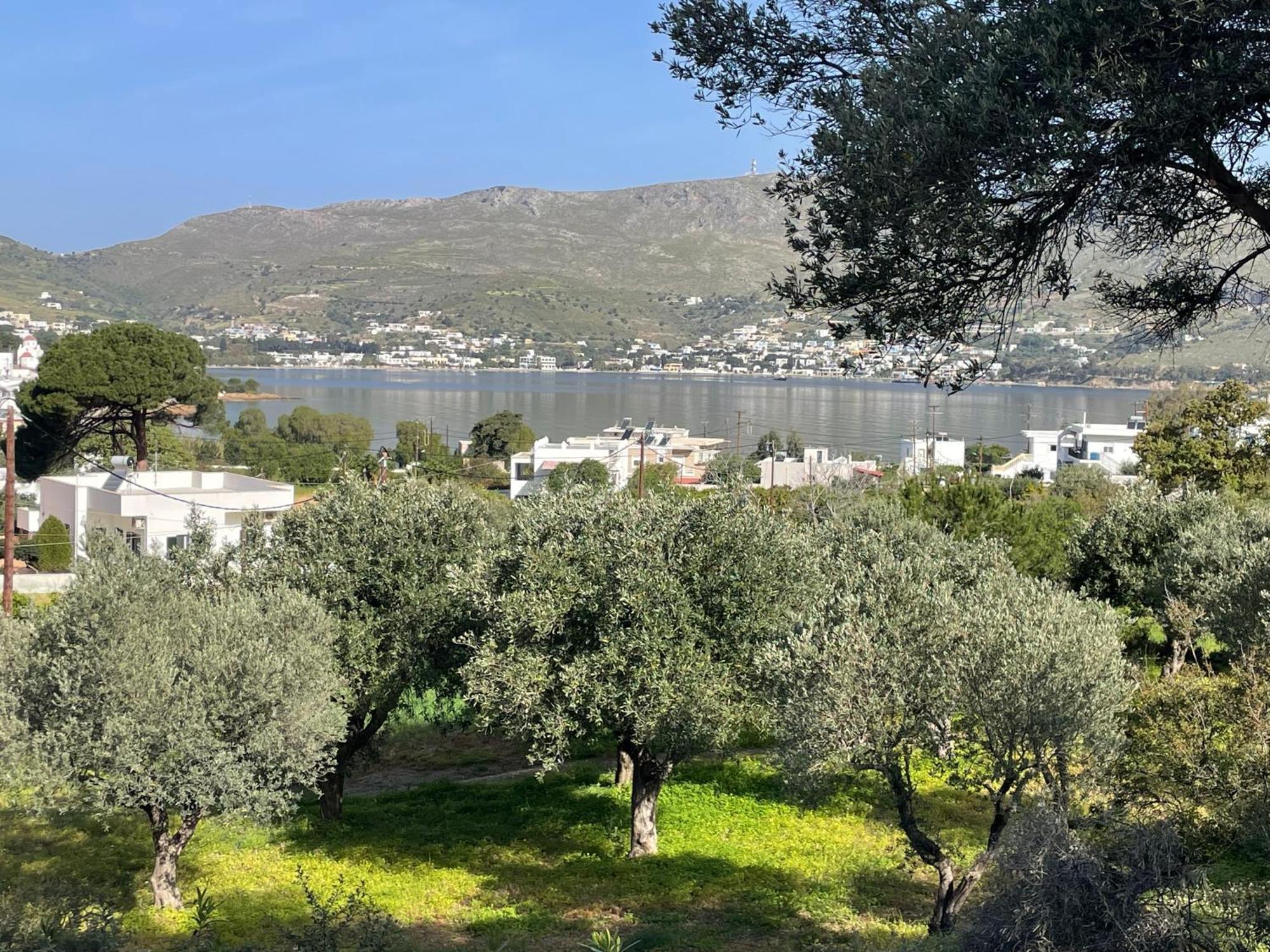 The Velanidies - Οι Βελανιδιές Agia Marina  Buitenkant foto